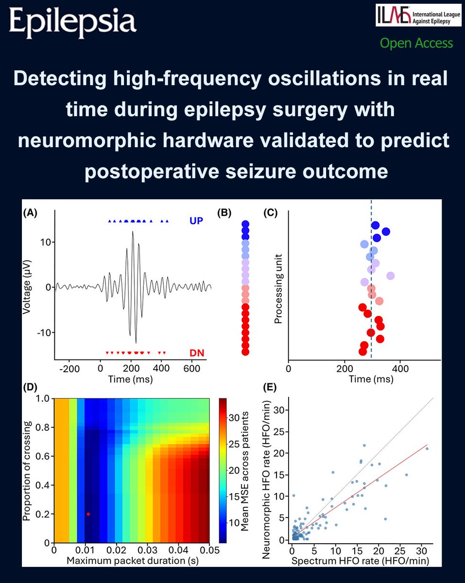EpilepsiaJourn's tweet photo. We trained the algorithm on intraoperative ECoG of 22 Zurich patients and validated on 54 Utrecht patients.
https://t.co/z2zJkiSpnE
#epilepsy #ILAE #epilepsia #electrocorticography #epilepsysurgery #highfrequencyoscillations #neuromorphichardware #spikingneuralnetwork https://t.co/1HLNSkvxqM