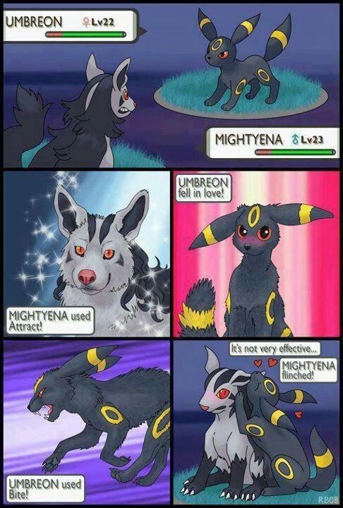 pokemonsplanet's tweet photo. https://t.co/XVm2rjser0