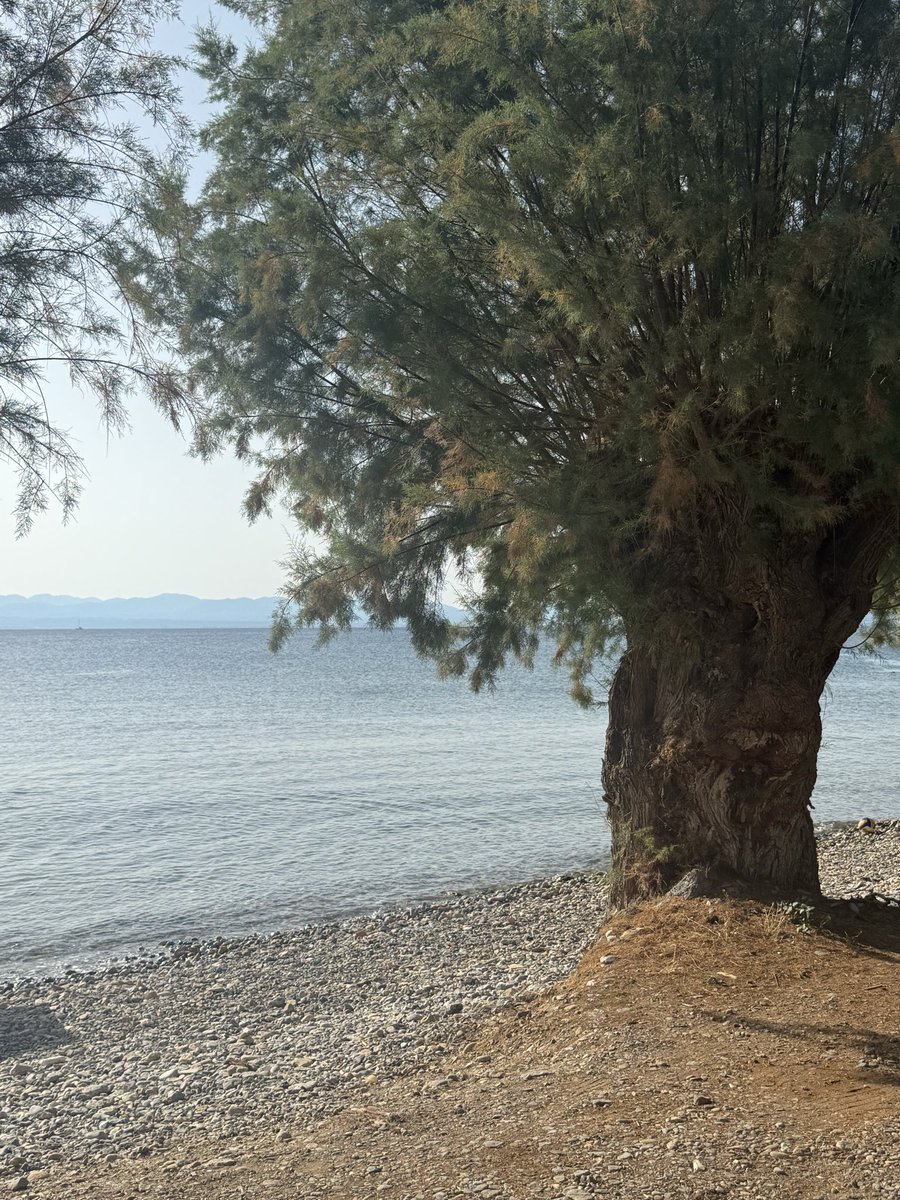 lemaniot's tweet photo. ppl need to realize the vital importance of fresh air and water https://t.co/yvrFzgyWes