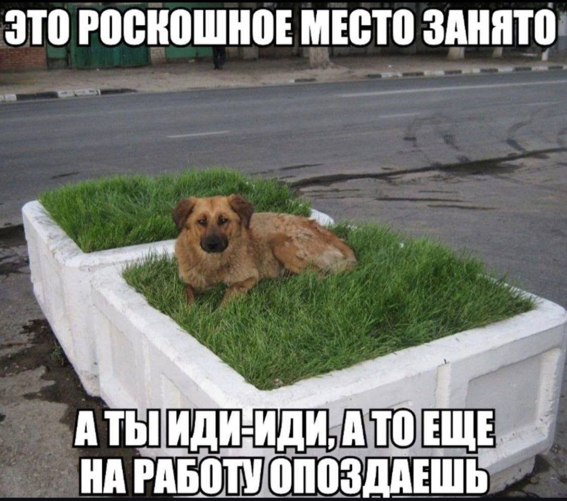 lox_ara's tweet photo. Одно фото https://t.co/IKUaeNddiK