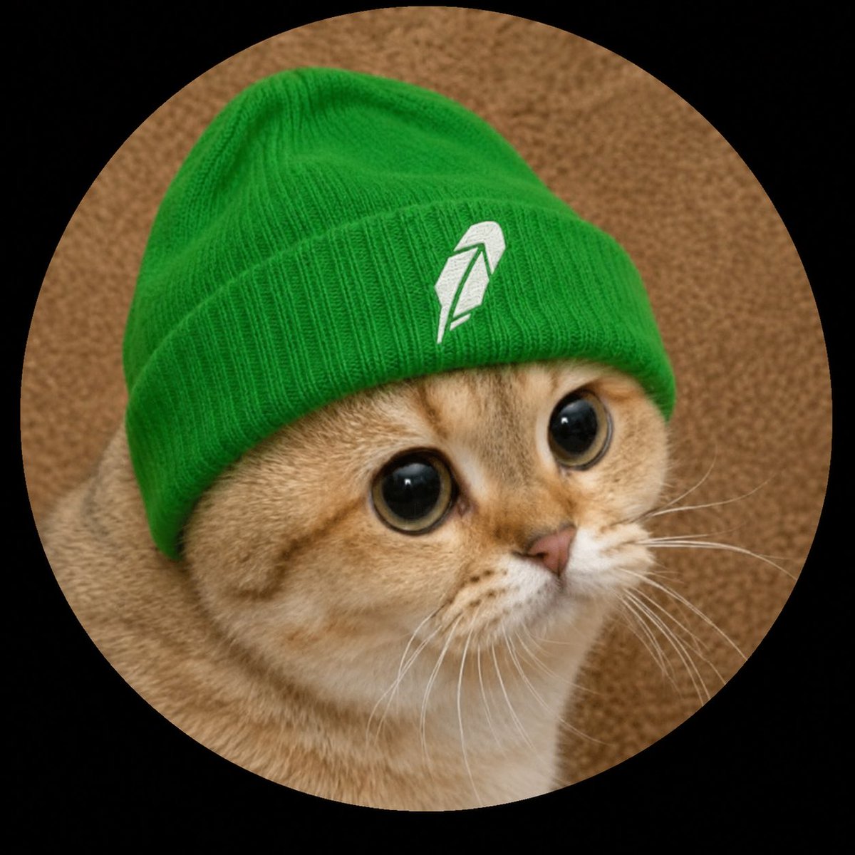 Chris65crypto's tweet photo. @GeckoTerminal @ArrowFinanceio @RealManyu @PlayKintara @cashcat_token Have you seen $Helia https://t.co/owRIMof0Mn