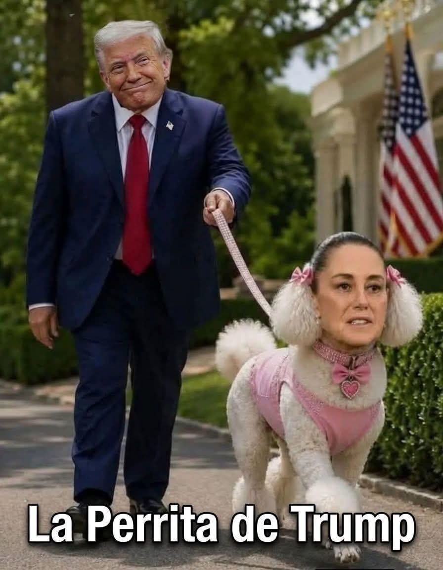 DanyGaribay4's tweet photo. @DOWWSON @RicardoBSalinas La única y verdadera perra de Trump https://t.co/DfOPA413ya