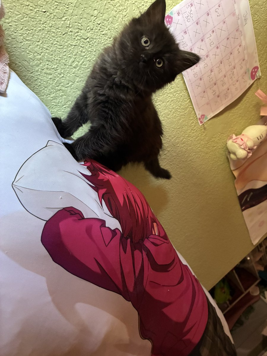 CUTIET4RD's tweet photo. So big now https://t.co/U4e2Tfg2wP