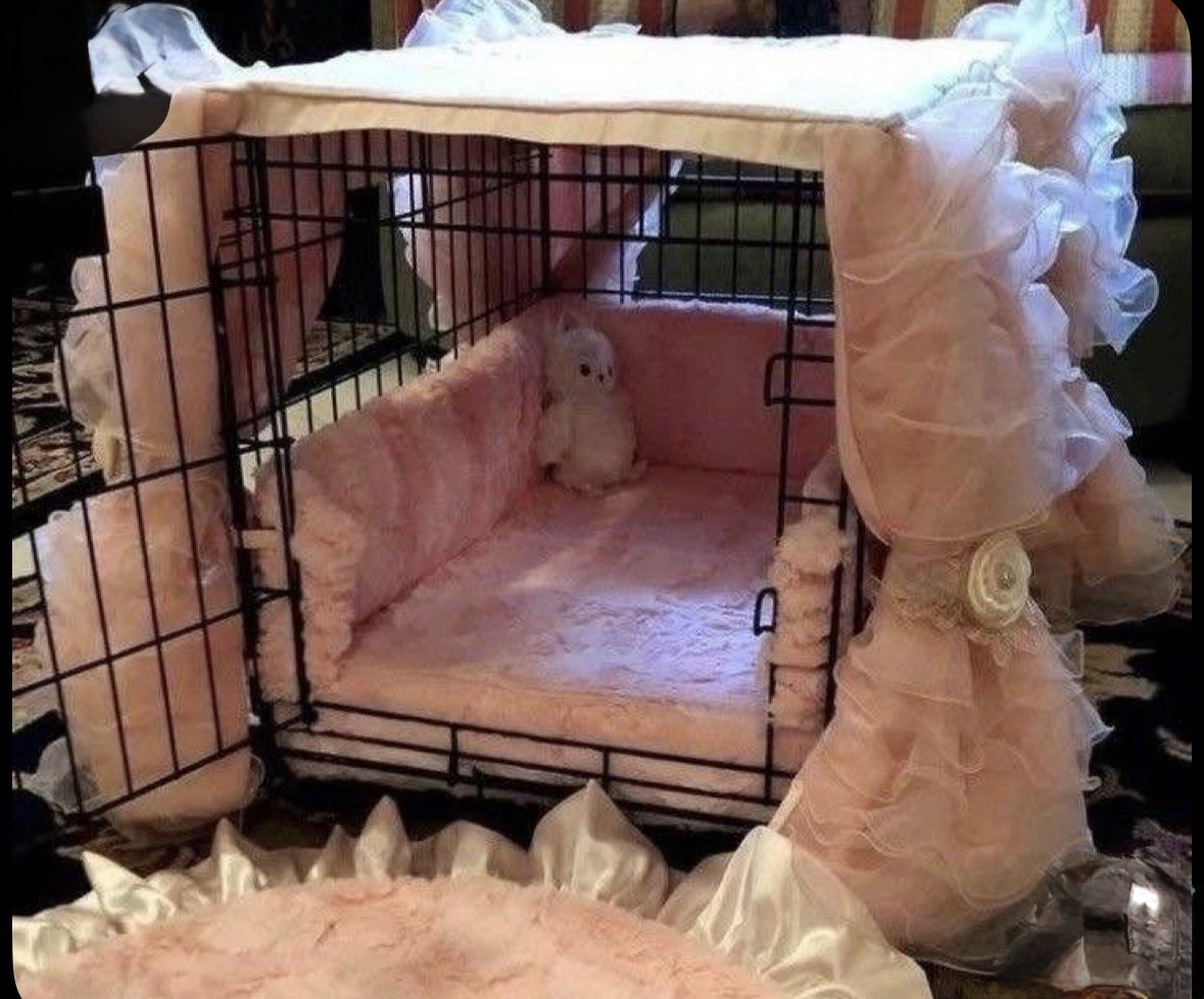 pandadeer_'s tweet photo. need a daddy who builds me a cage like this and locks me in :(( https://t.co/6ZfCVfN8H6