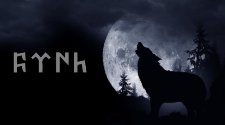 GoKKurtTurk's tweet photo. TÜRK! 🇹🇷🐺 https://t.co/aXXksCmSJT