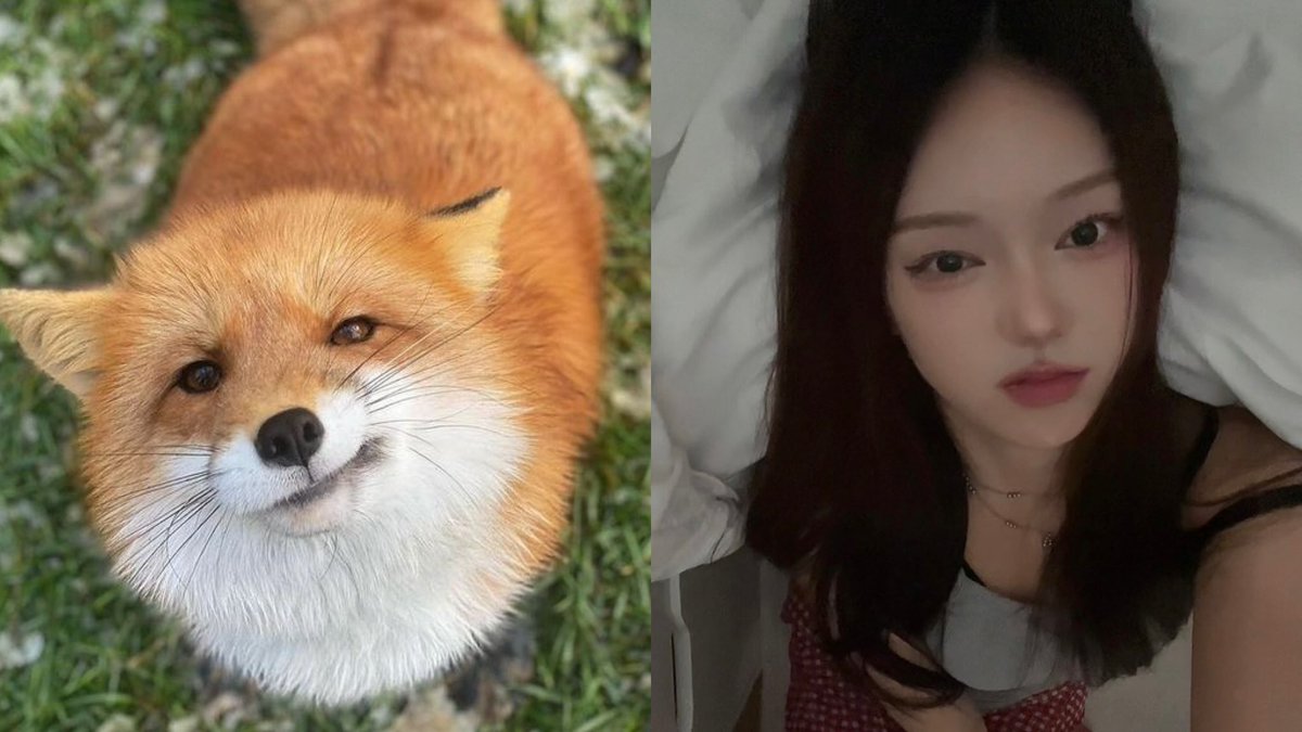 hyewonspictures's tweet photo. 🦊 #OURBIRTHDAY #아워벌스데이 #신혜원 https://t.co/52bu8zXn2E