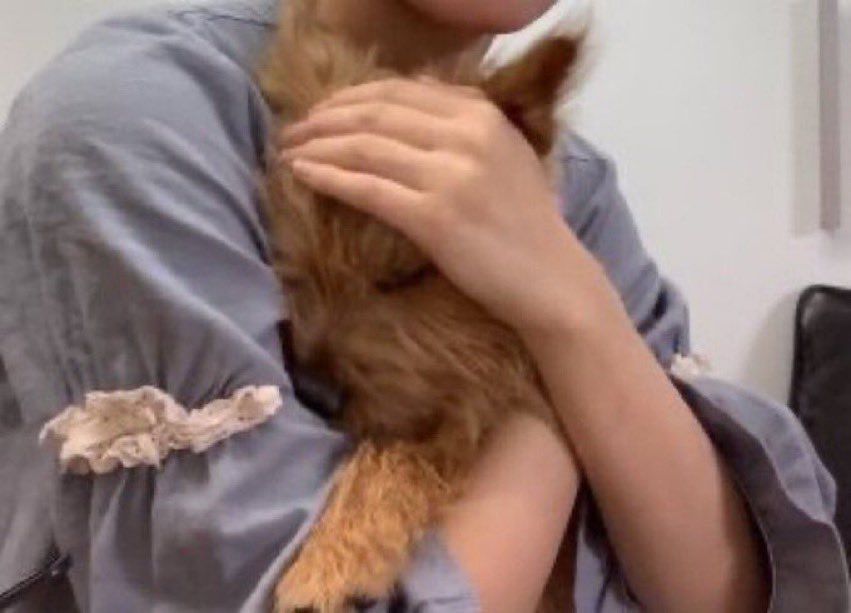 mmlovebot's tweet photo. i trust u my sweet jiji… https://t.co/XtLrpaTT2P