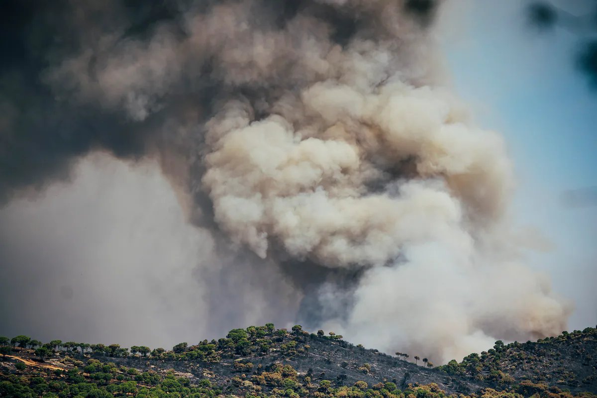 BrunoRguezP's tweet photo. #Cuba expresa sincera solidaridad con el pueblo y el gobierno de #España, ante los devastadores incendios que enfrentan distintas provincias españolas.  

Reiteramos nuestra cercanía y apoyo en estos momentos difíciles. https://t.co/a4sG0vLVas