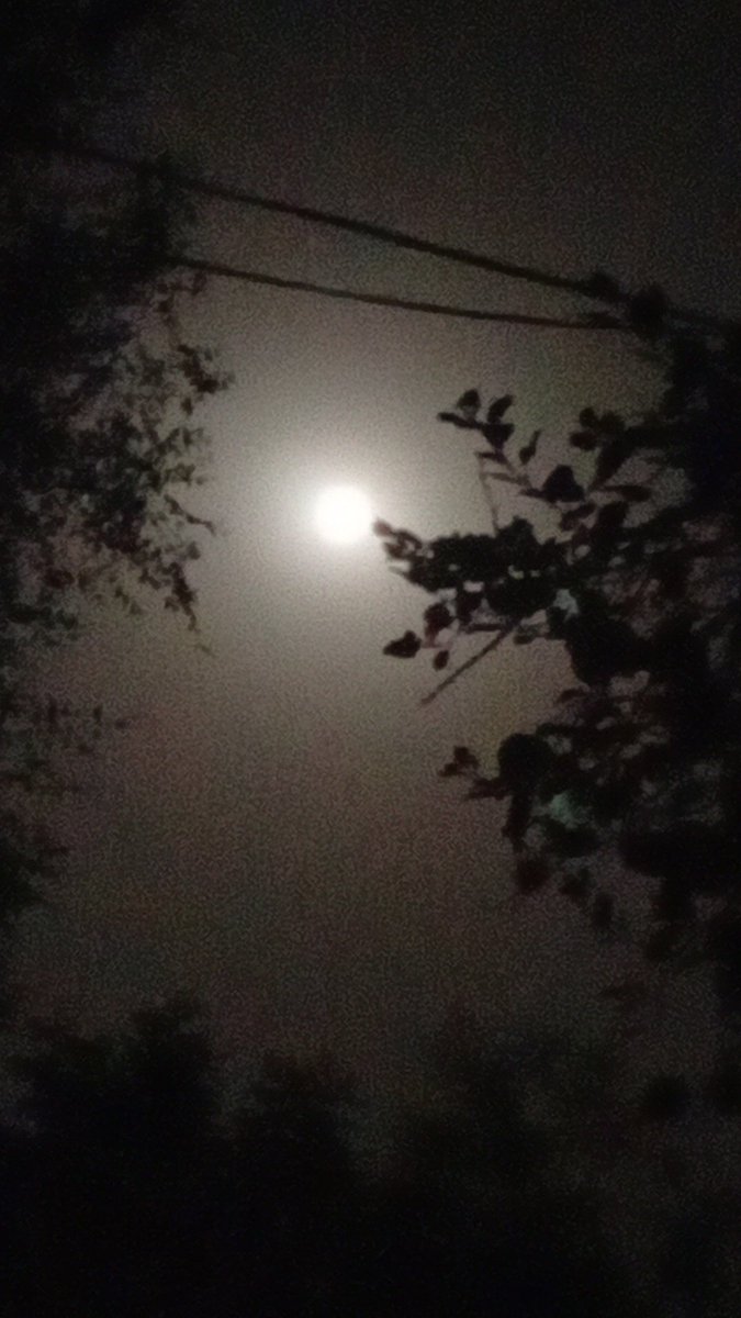 Sahindbuj's tweet photo. Ghejd https://t.co/oFHv5pLJCW