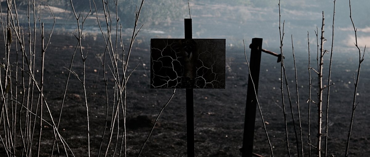 RichardZubelzu's tweet photo. El fuego no entiende de ideologías, pero sí deja preguntas incómodas
Arrancamos el rodaje de ‘La Huella del Fuego’: venimos a escuchar a quienes lo conocen desde dentro, lejos de titulares y culpables
El verdadero desafío no es contar el último incendio, sino evitar el siguiente https://t.co/K6v2vhLR1V