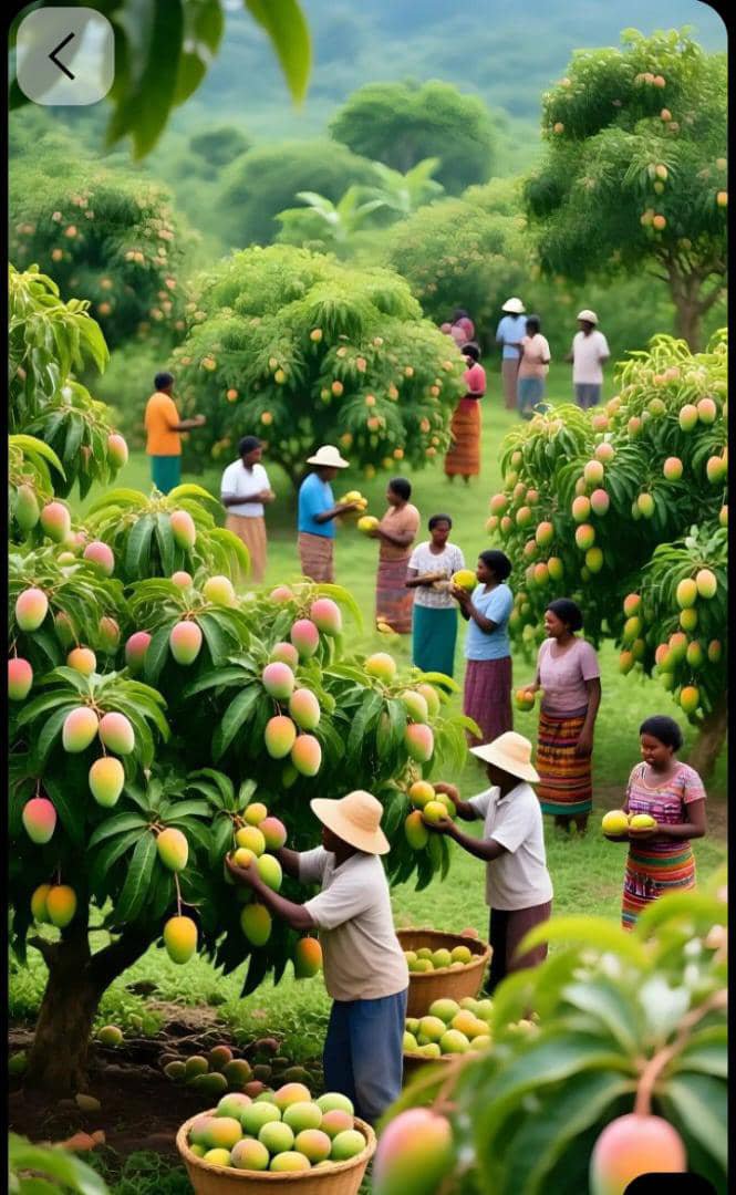 ToofineL4143's tweet photo. @GrantCommuUnite @officialABAT @WorldBankGroup @IMFNews @ARISEtv Think GENERAL AGRICULTURE FARM https://t.co/X0Ku9wOkcc