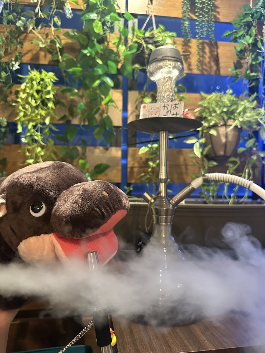 Hippo_shisha's tweet photo. 【カバのエサ🦛】
　
ウォーターメロン
レモンローフ
グリーンクランチ
ロータスビビスコフ

上品な草のような味になりました🌱✨
味わい深いシーシャでリラックス♪
 #シーシャ  #秋葉原 #スイーツ #HIPPOガーデン https://t.co/ZJOL2StpGu