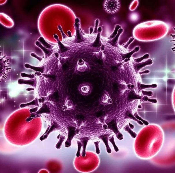 updatecultura's tweet photo. Dois novos casos de possível CURA do HIV foram anunciados por médicos. 

Após interromperem o tratamento com antirretrovirais, os pacientes seguem sem sinais detectáveis do vírus nos exames. https://t.co/EdhPZlvWek