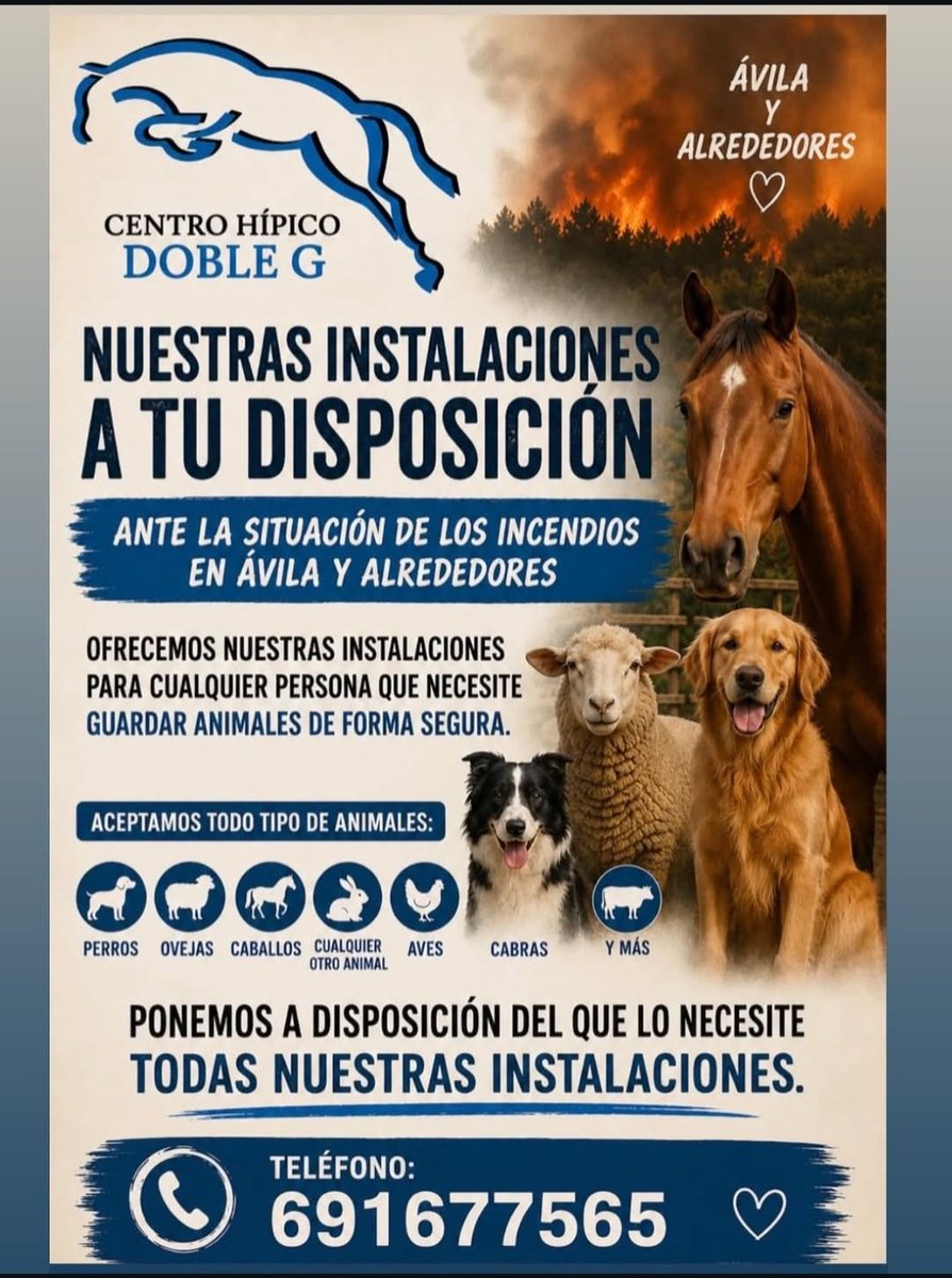 NoayNemo's tweet photo. @CaninaReal https://t.co/RpCJDrV1MI