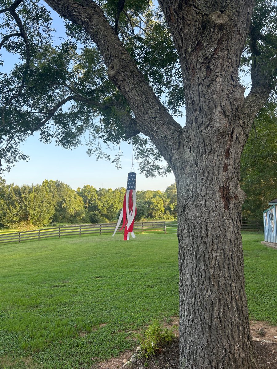 ShiversQuint's tweet photo. Happy Monday from Hempstead, TX https://t.co/XlhKrqjXaL
