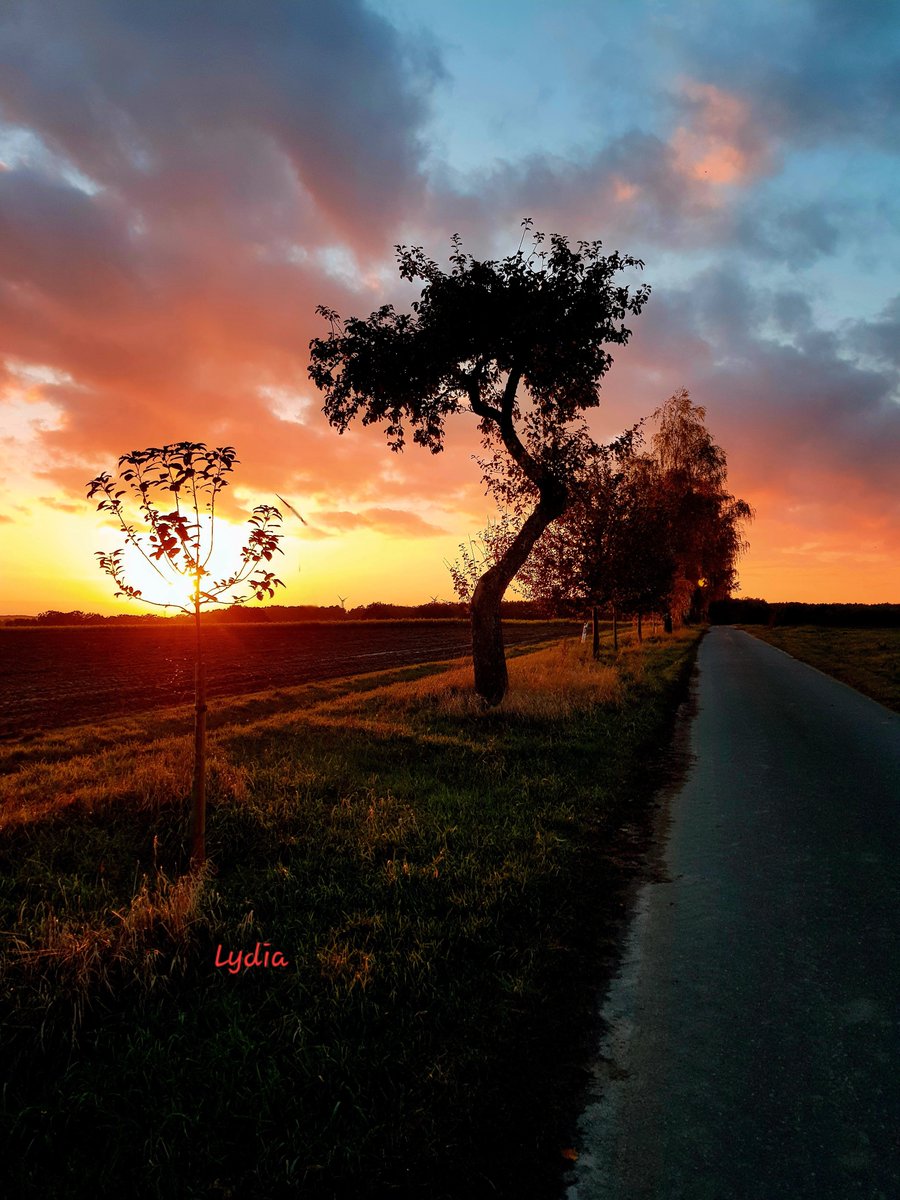 OdenbachWitt's tweet photo. Good evening everyone and later a relaxing goodnight. https://t.co/CFSAr7CZR0