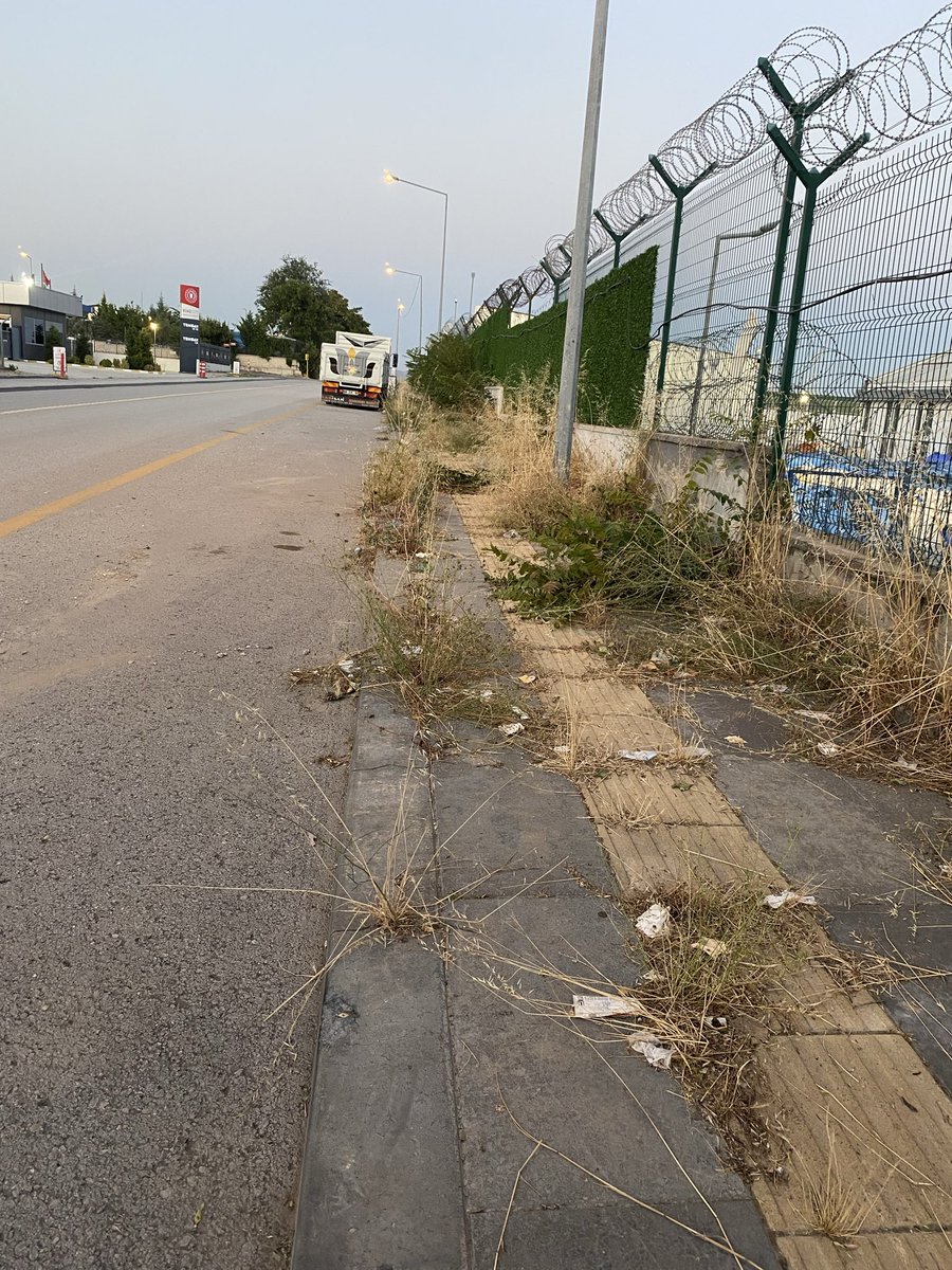 MstfMustafa06's tweet photo. @mavimasa @ankarabbld @mansuryavas06 Merhaba Çamlıca Mah. 148. Cadde üzerinde kaldırımlar çöp ve otlarla dolu. Yürüyüş yapamıyoruz. Temsan karşısında temizlenmesini rica ediyoruz. https://t.co/DtRzZXQN1Q