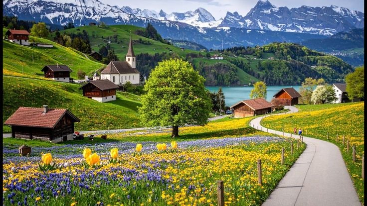 earthwhisperss's tweet photo. Peak summer beauty https://t.co/RsOb3AlBNv