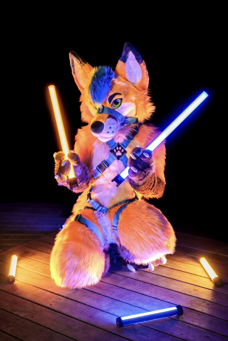Electrix Fox tweet media