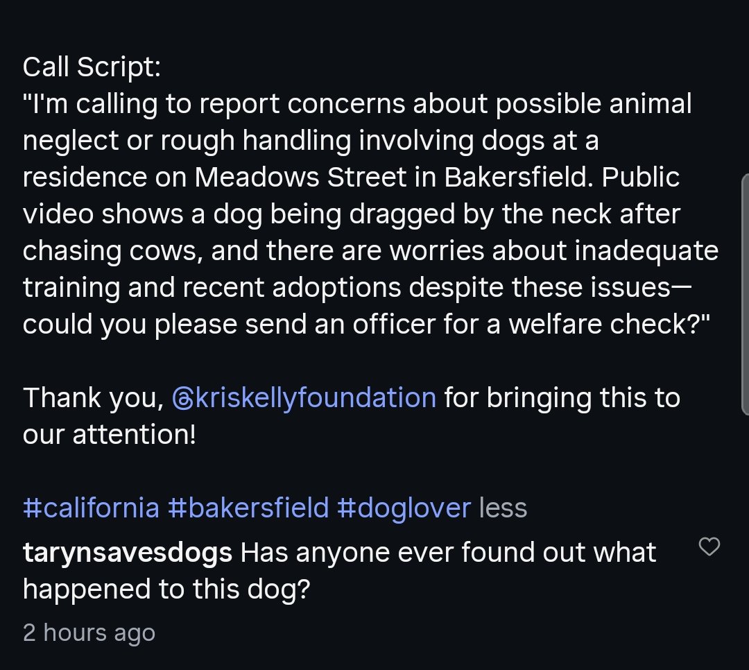 Foster a shelterpet at ZERO COST🐾 tweet media