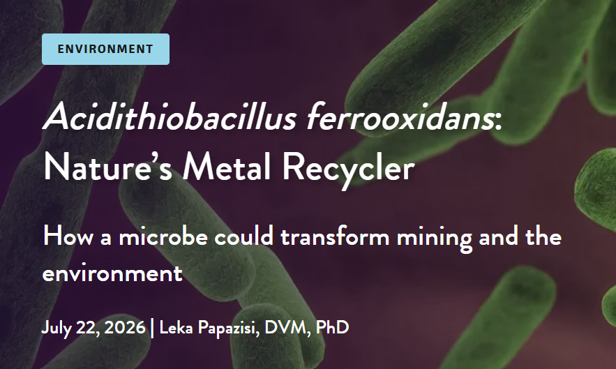 officialatcc's tweet photo. Acidithiobacillus ferrooxidans thrives in extreme environments and plays a key role in biomining—using biology instead of harsh chemicals to extract metals from ores and waste streams. Read our latest blog to learn more: https://t.co/4idSkh5egt https://t.co/4O23w5bzIP