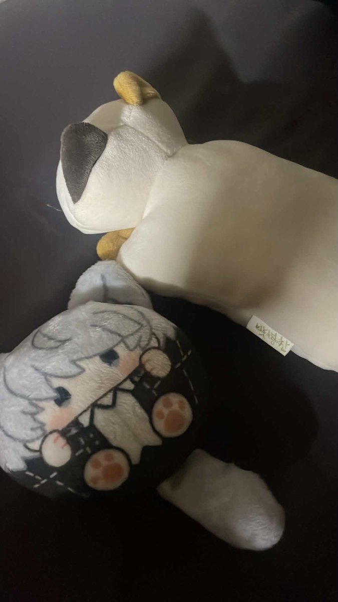 ej0ewt's tweet photo. 인형슬랑이만들어봄 근데 다 2퍼 뷰족함 https://t.co/K6yqx8Mw9o