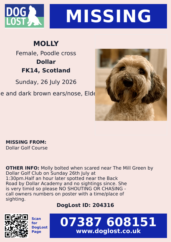 millypod1's tweet photo. 🆘26 JULY 2026 #Lost Molly #ScanMe
ELDERLY Poodle Cross Female
near The Mill Green by Dollar Golf Course #Dollar #Clackmannanshire #Scotland #FK14
https://t.co/I7ZB2407Kf https://t.co/pXZEeKDjwv