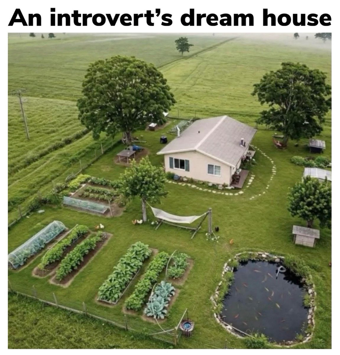 IntrovertApparl's tweet photo. https://t.co/Rw6AkoQ1xP