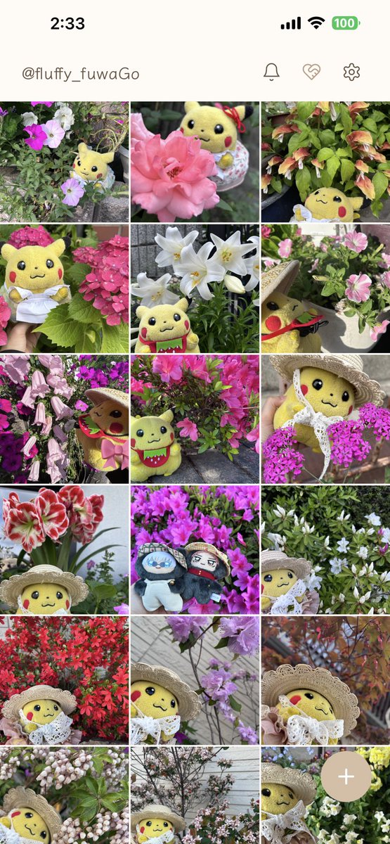 fluffy_2025's tweet photo. ぬい日和に春から撮影してるお花の写真に花の名前と花言葉調べてせっせとUPしてるけど、あと30もあるんか……（今日また増えた）

でもＸさんより見やすくてええやん👍 https://t.co/K6s2NY3rn4
