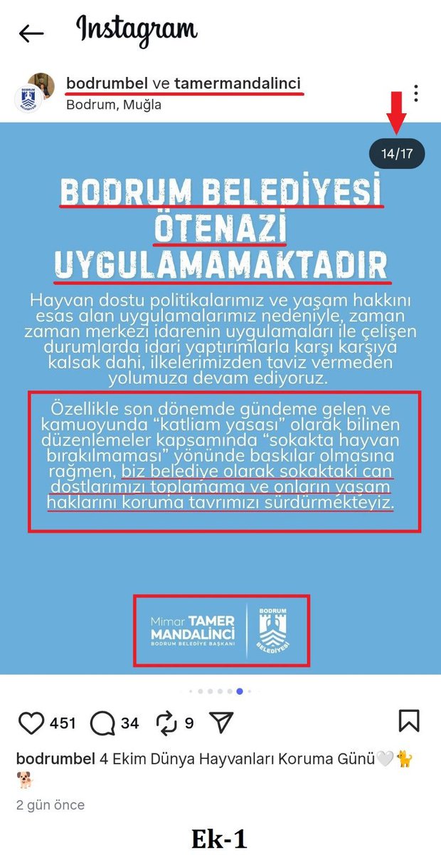 kocovali08's tweet photo. Mülkiye Müfettişleri gelsin de soruşturma görsün!

Bodrum Belediye Başkanı 10 ay önce resmi instagram hesabından açık açık köpekleri toplamayacağını, kanuna uymayacağını yazdığı için Muğla Valiliği'ne şikayet ettik. Sonuç ne mi oldu? Gelin anlatayım.

Şikayetimizi Bodrum Kaymakamlığı'na yönlendirdiler. Kaymakamlık şikayetimize cevaben "belediye sehven yazmış canım biz sorunca sildiler bişey olmaz bişey olmaz" minvalinde yanıt verdi. Sayın kaymakam belediye suç içerikli paylaşımını silince suç ortadan kalkıyor mu?

Bu şikayeti geçen yıl yaptık aradan neredeyse 10 ay geçti şuan Bodrum'da sokaklar başıboş köpekten yürünmüyor. Son 2 ayda en az 3 kişiyi köpek ısırdı, 3 tane de köpek yüzünden trafik kazası yaşandı.

Aslında kaymakam beyden ziyade Sayın Valiye (@idrisakbiyik) sormak lazım. Köpeklerin toplanması hususunda Kanun'un uygulanmasını sağlamak "görev, yetki ve sorumluluğu" bizzat Valilere aittir. Açık açık kanuna uymayacağını söyleyen ve aylardır köpek toplamayan Bodrum Belediye Başkanı @MandalinciTamer hakkında neden yasal işlem başlatmıyorsunuz?

@BodrumKaymakam  
@tcmuglavaliligi 
@mustafaciftcitr