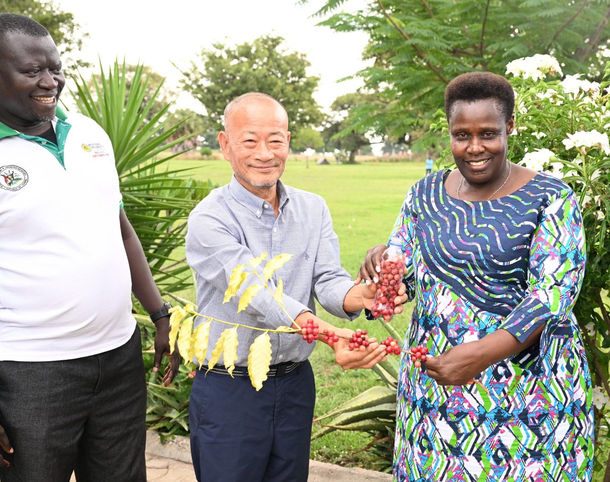 jessica_alupo's tweet photo. Earlier today, I met a coffee researcher from the Republic of Korea. We discussed opportunities to strengthen Uganda's coffee sector through research and collaboration. Coffee remains one of Uganda's leading foreign exchange earners, supporting millions of livelihoods. https://t.co/arIVgeaVKt