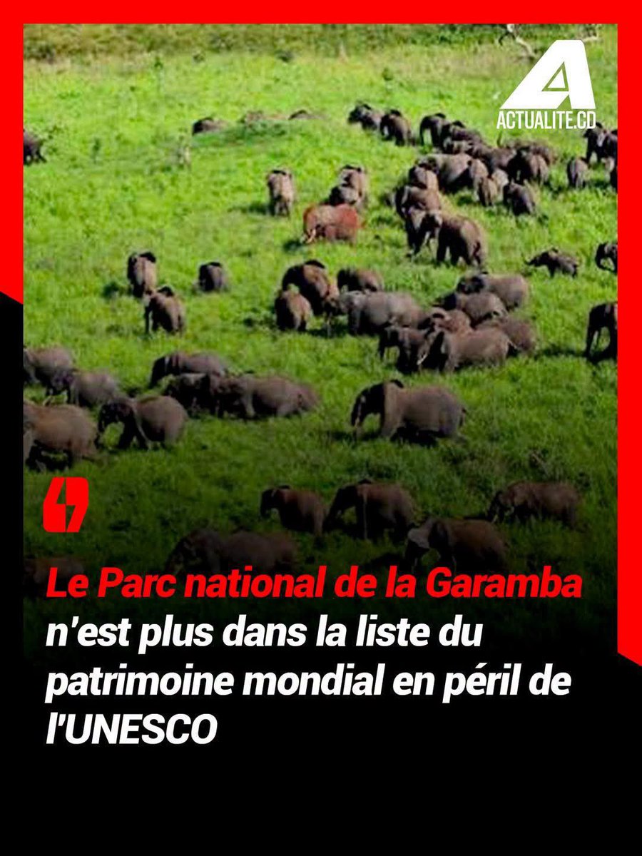 onglact's tweet photo. Bonne nouvelle pour l’écosystème !

Chez LACT, la protection de l’environnement est aussi notre priorité. Un environnement sain pour les humains et les êtres vivants c’est un parfait équilibre écosytémique.

@actualitecd https://t.co/6z4NU6Wwuh