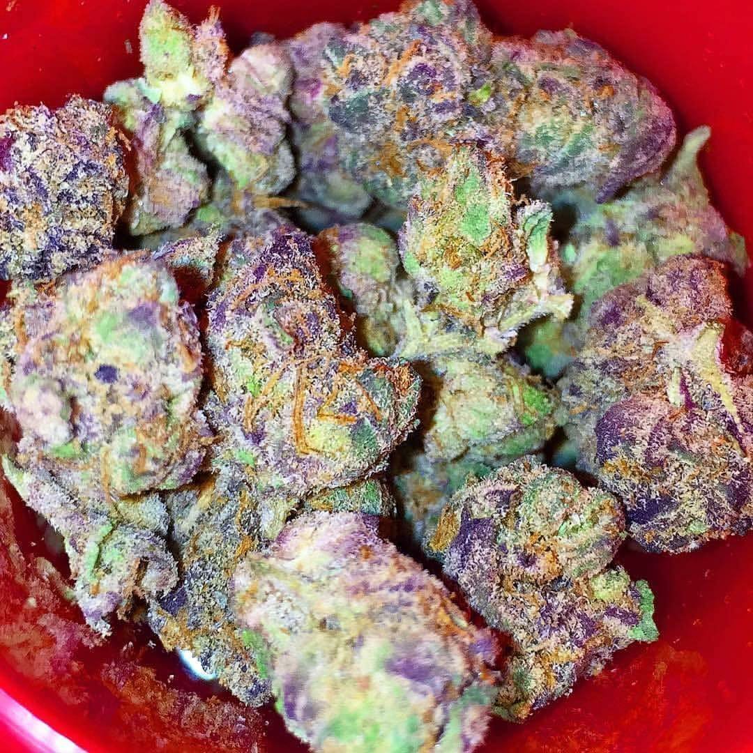 Highexonr's tweet photo. Ayo serving in Virginia ☑️ 
Weed Nahs Head weed Kitty Hawk weed Corolla weed Virginia Beach weed Norfolk weed Williamsburg weed Fredericksburg weed Washington weed Leesburg weed Baltimore weed Maryland weed Gettysburg weed Morgantown weed West Virginia weed Wheeling https://t.co/fu0xkZR49g