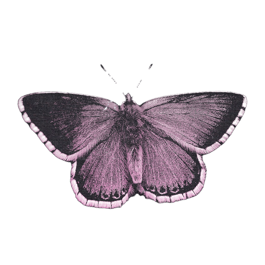 gutsnds's tweet photo. ᅠᅠᅠᅠᅠᅠ⊹       ࣪       ˖       𐔌՞ ܸ.ˬ.ܸ՞𐦯          ꫂ᭪݁ᅠᅠᅠᅠ https://t.co/n4YBGDhJ3v
