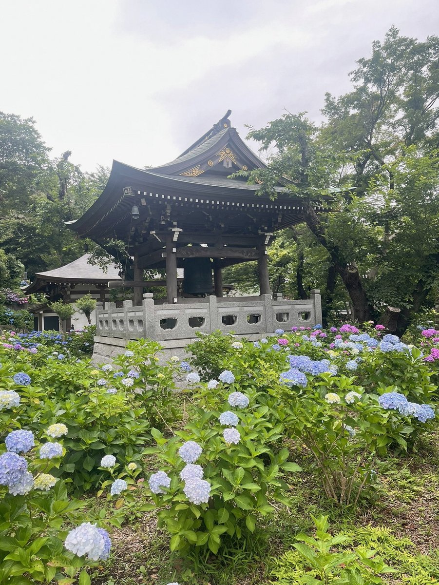 PolkEvent4171's tweet photo. 真田丸44話視聴終了。大阪で戦がはじまる！そして私は来週たまたま大阪へ行く！！胸熱✨
博物館行こうと思ってたけど、博物館は早足で見て大阪城にも行っちゃおうかしら… https://t.co/NAVILeIgXm