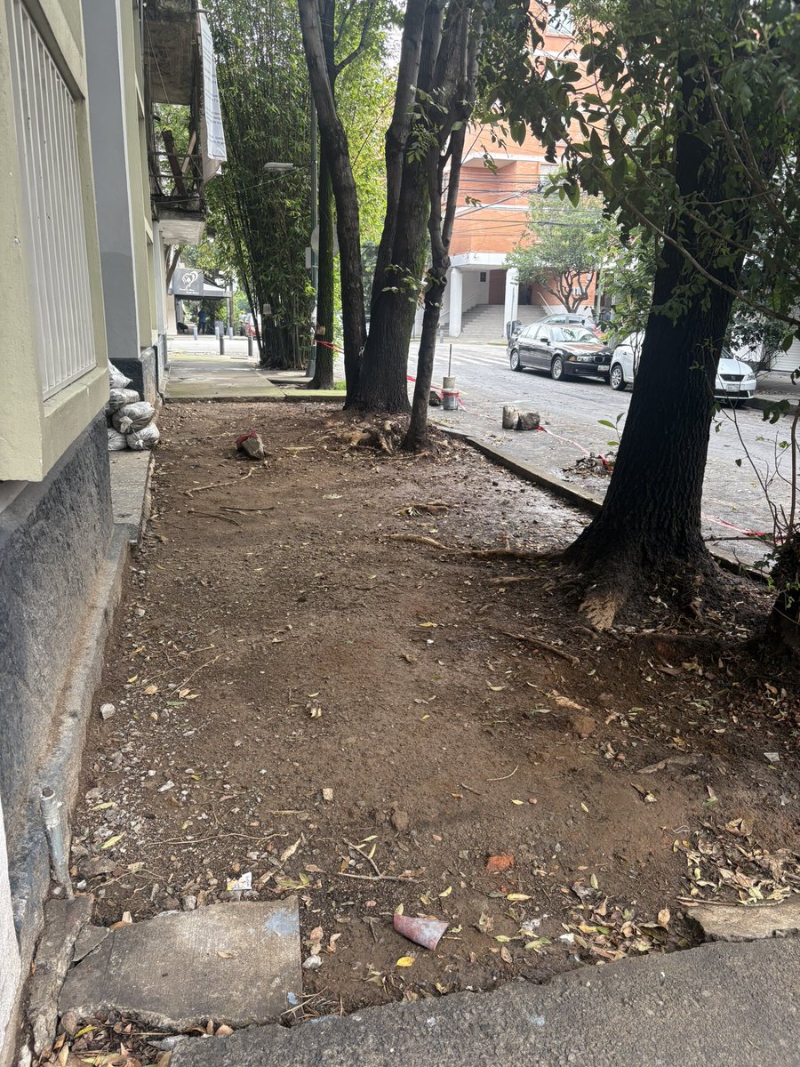 ABJ_RECLAMOS's tweet photo. Desde el pasado 16/6, @LuisMendozaBJ y @AccionesBJ quitaron unas banquetas destrozadas q denunciamos vecinos x 45 días, suponiendo el comienzo de la reparación. Hoy + d 1 mes después así están las calles. 
Heriberto Frías 605 y 715, D. San Antonio 1021
@supercivicosmx @MelC_mx https://t.co/A5sNvjTVRn