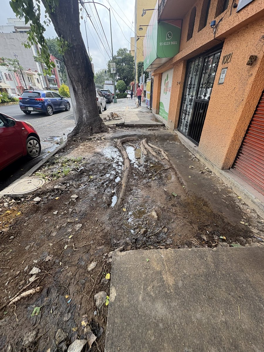 ABJ_RECLAMOS's tweet photo. Desde el pasado 16/6, @LuisMendozaBJ y @AccionesBJ quitaron unas banquetas destrozadas q denunciamos vecinos x 45 días, suponiendo el comienzo de la reparación. Hoy + d 1 mes después así están las calles. 
Heriberto Frías 605 y 715, D. San Antonio 1021
@supercivicosmx @MelC_mx https://t.co/A5sNvjTVRn