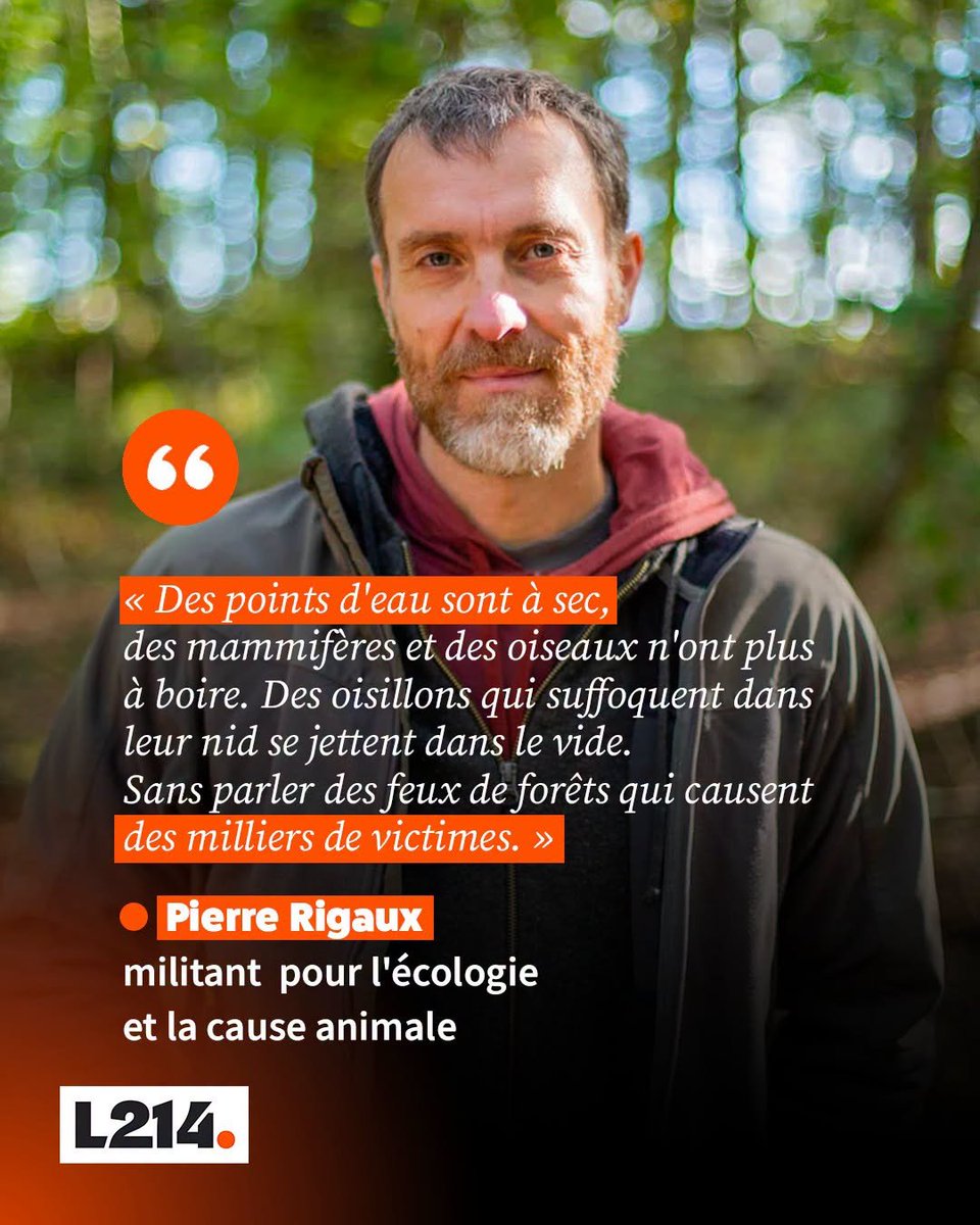 ChasseAbolition's tweet photo. https://t.co/jcMVNecx2v