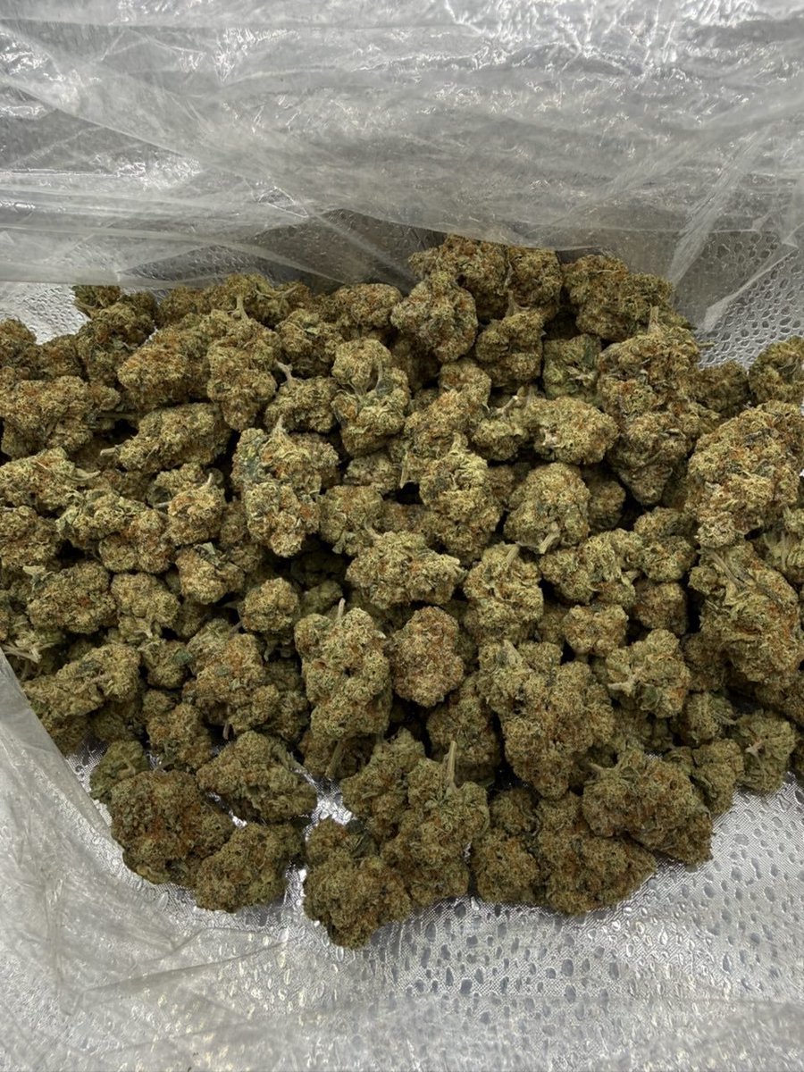 Alimxopop's tweet photo. TOP SHELF INDOOR EXOTIC CANDY Products:
Real Zaza, Cali Kush Gas, Za Bud THC oil, Cannabis Oil, THC Liquid, THC Vapes, Edibles, and Mushrooms. plug available
#AustinMeetups #DTX #ATX #DallasMeetup #DallasMeets #Dallas #DallasFreaks #DallasExotic #DTF #DallasKush https://t.co/AElAsb2WI4