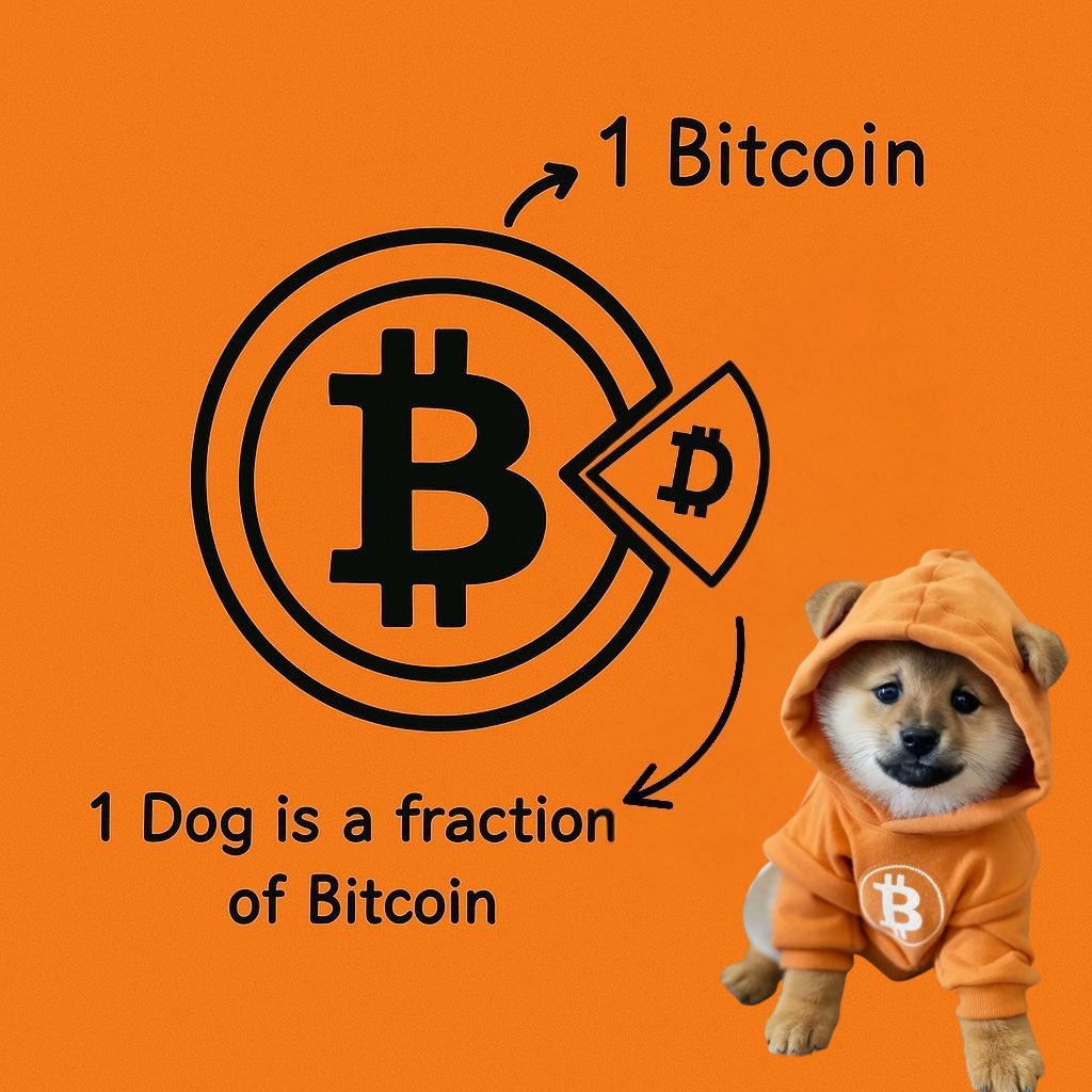 🧡 THE $DOGWALKER 🧡 tweet media