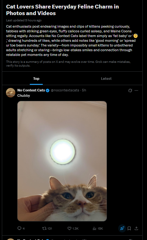 ithinkimsic's tweet photo. A NEW TRENDING PAGE ABOUT THE RECENT ABOUT PEOPLE POSTING LOADS OF MEMEABLE CATS. 

Trending: https://t.co/R3MfEKMJYA

We're currently in a Cat Meta whilst this new page is also trending

This is the $CTO | Cats Take over https://t.co/thxg4plZcB
