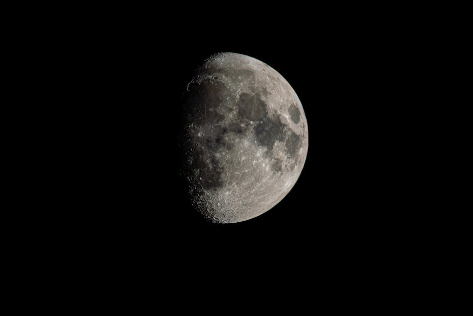YoelTimoth69017's tweet photo. تصبح داخل القلوب. الحياة أجمل عندما الاهتمام يضيء السعادة shandra cuzick🤩 https://t.co/FAejrhsfd2