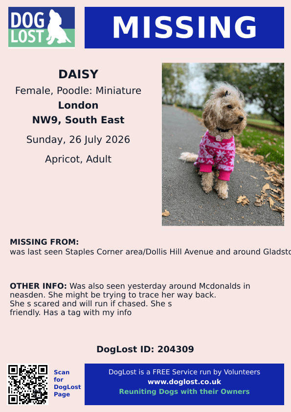 millypod1's tweet photo. 🆘26 JULY 2026 #Lost Daisy #ScanMe
Poodle: Miniature Female
Staples Corner area/Dollis Hill Avenue and around Gladstone park #Brent #NW9
#London #GreaterLondon. Mcdonalds in #Neasden
WAS STAYING WITH FRIENDS. LOCAL HELP NEEDED.
https://t.co/IkOyu6SRbn https://t.co/cvIDKK2KXo