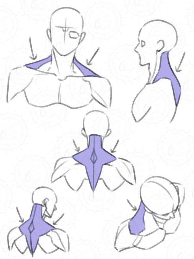 LimboSketch's tweet photo. Shoulders from every direction for you https://t.co/fuGMgenzXS