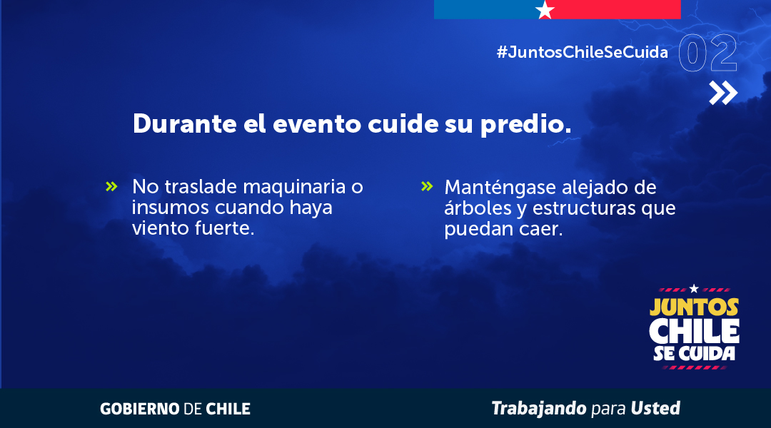 MinagriCL's tweet photo. 🌬️ Ante el pronóstico de vientos fuertes, es fundamental adoptar medidas preventivas para resguardar la actividad silvoagropecuaria.

🔍Revisa las recomendaciones elaboradas por la Unidad de Gestión de Riesgo de Desastres Agrícolas (UGRA) del @MinagriCL para proteger cultivos, infraestructura y animales. 

👉 Infórmate más en https://t.co/X67ooPqzDU