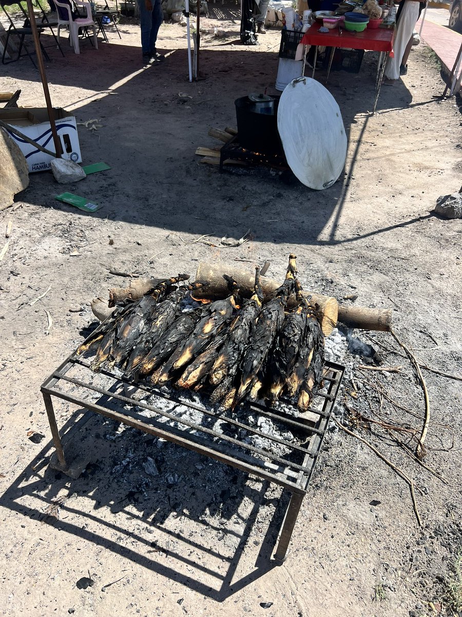 deis009's tweet photo. #BuenosDíasATodos
#Lerdo
#EstacionLaGoma
#Raymundo
🤤👌🏿 https://t.co/bkzWsR8IT2