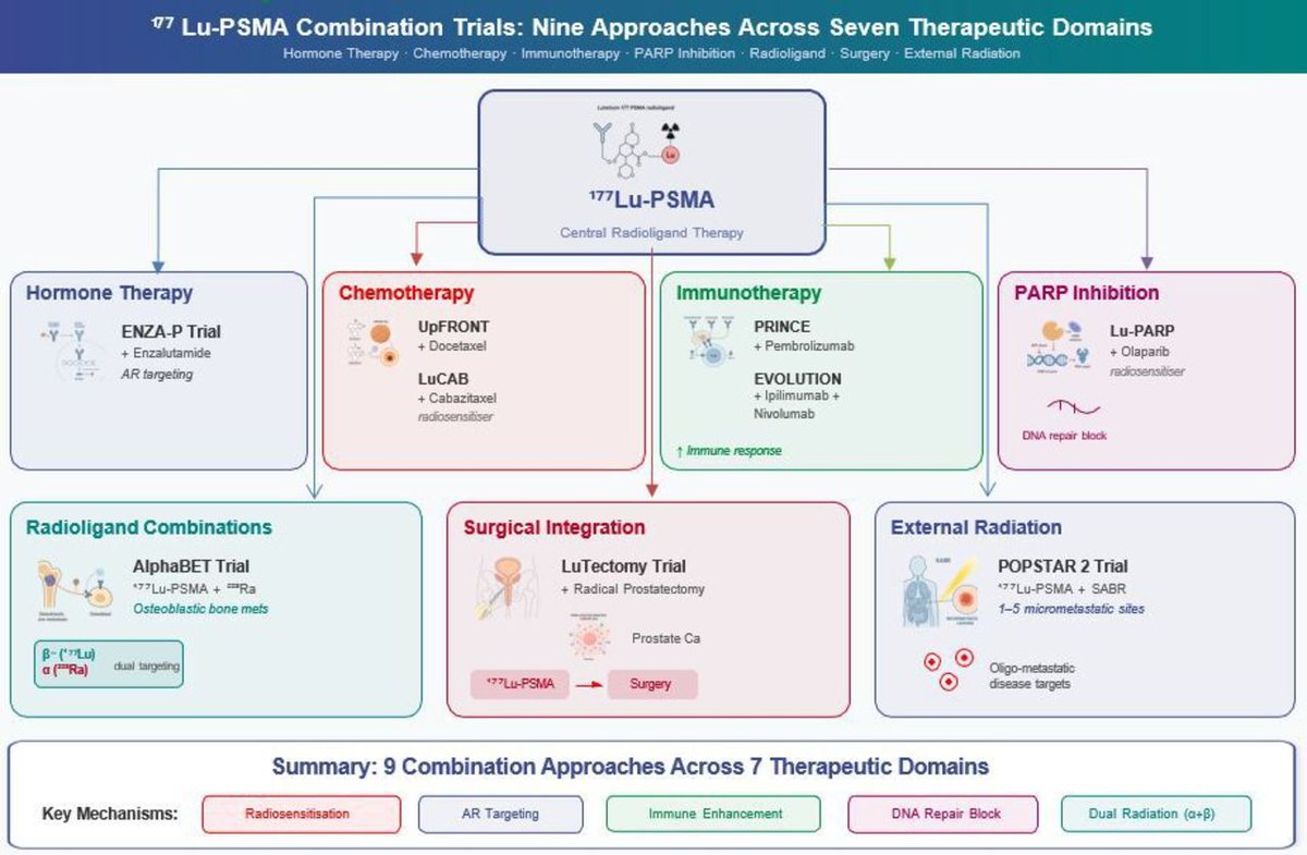 BMJOncology's tweet photo. This review from Akram Al-Ibraheem and colleagues outlines the priorities required to translate next-generation radiotheranostics into durable, multidisciplinary cancer care.

https://t.co/zFBGXGRCQK

@oncoalert #OncoAlert https://t.co/ml9N8yt6fH