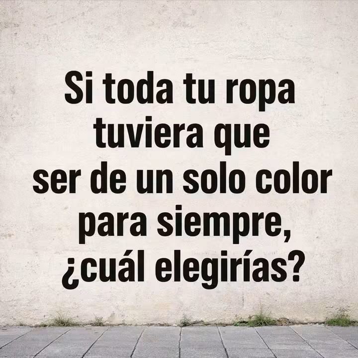 Zorrito tweet media