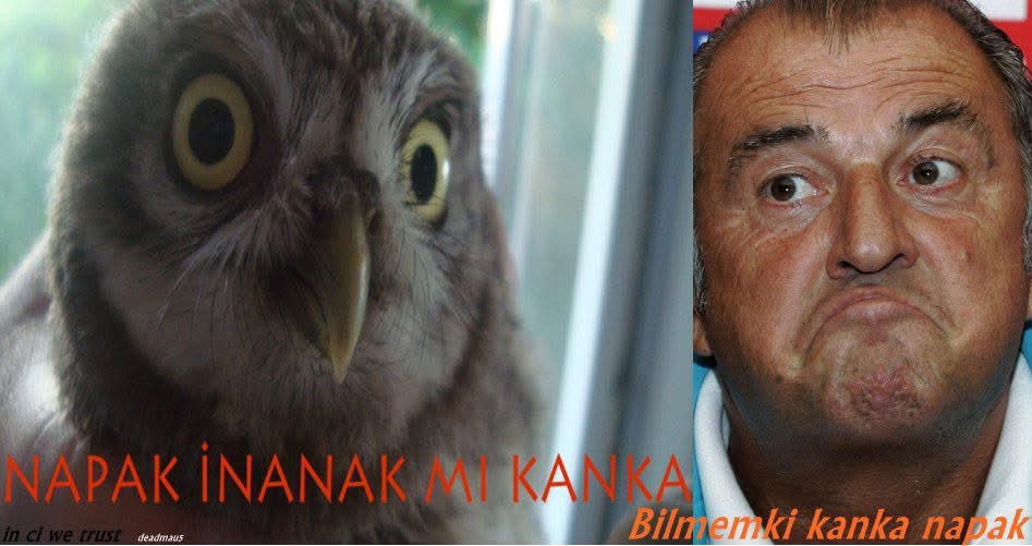 erhancelen's tweet photo. @korkmazali08 https://t.co/X9X1bdUwr6