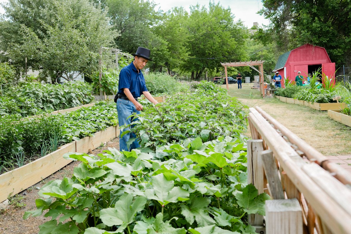 hungertaskforce's tweet photo. Through Hunger Task Force’s Network Support Fund, we recently awarded a $6,400 grant to Hmong American Friendship Association to build raised garden beds and purchase seeds to grow fresh fruits and vegetables for children, families and older adults visiting their food pantry. https://t.co/fV8xs1aY2f
